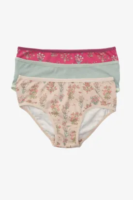 Pack of 3 Colored Brief Panties